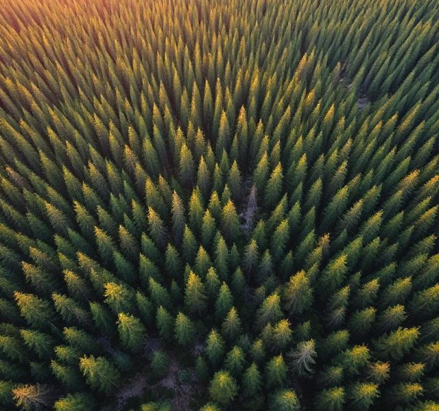 Vuelos y grabaciones